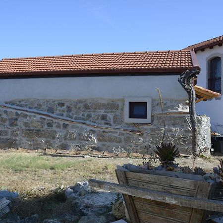 Casa Da Lima - Nestled In Nature On Santiago'S And Fatima'S Path, Close To Coimbra And Rabacal Alvorge Exterior photo