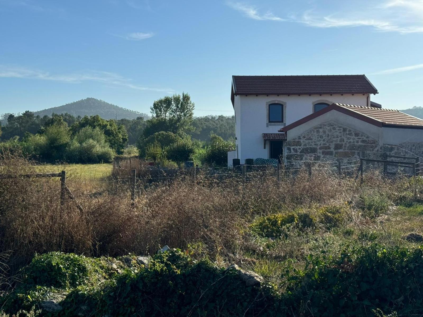 Casa Da Lima - Nestled In Nature On Santiago'S And Fatima'S Path, Close To Coimbra And Rabacal Alvorge Exterior photo